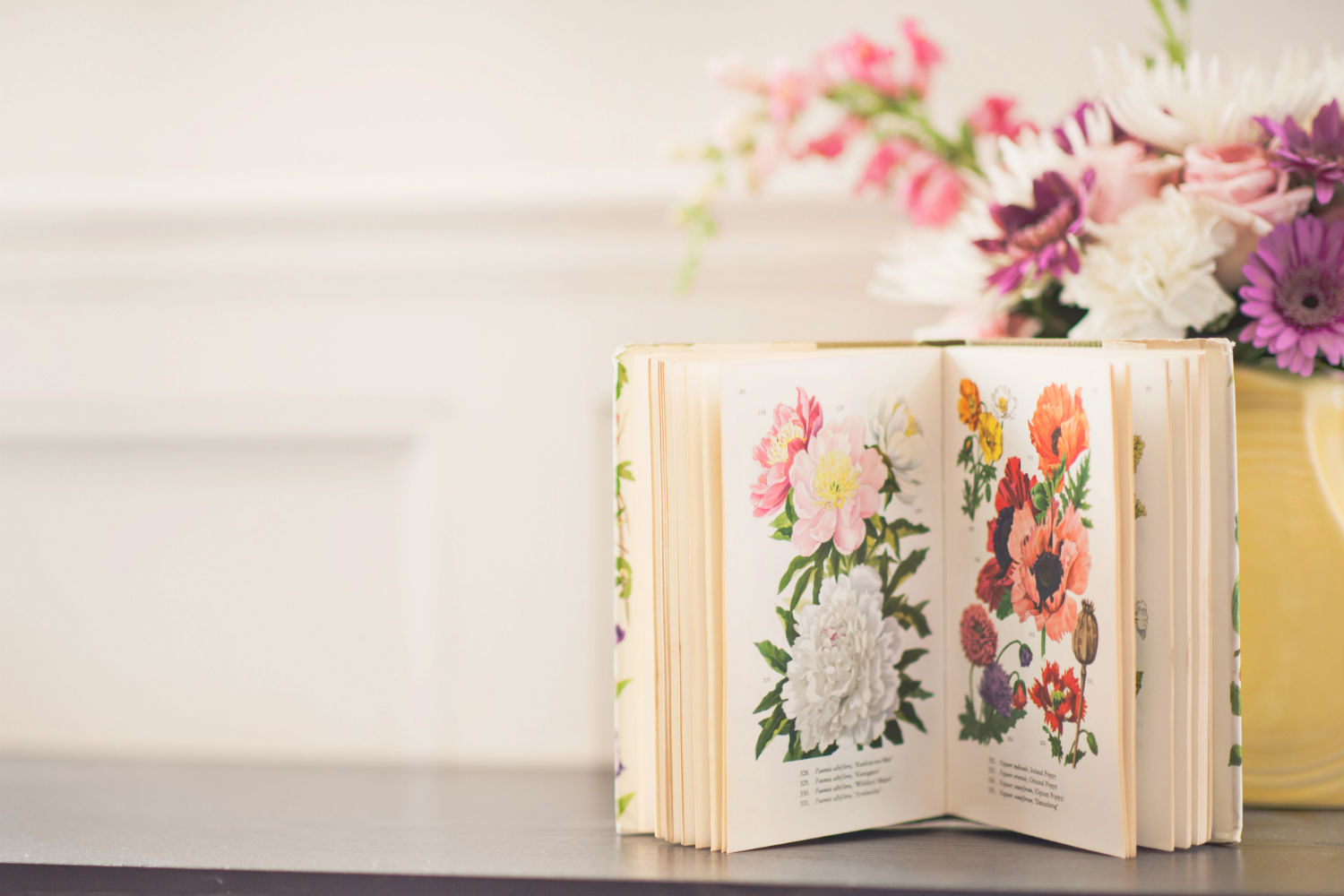 bookbank piacenza, servizio di copywriting e naming
