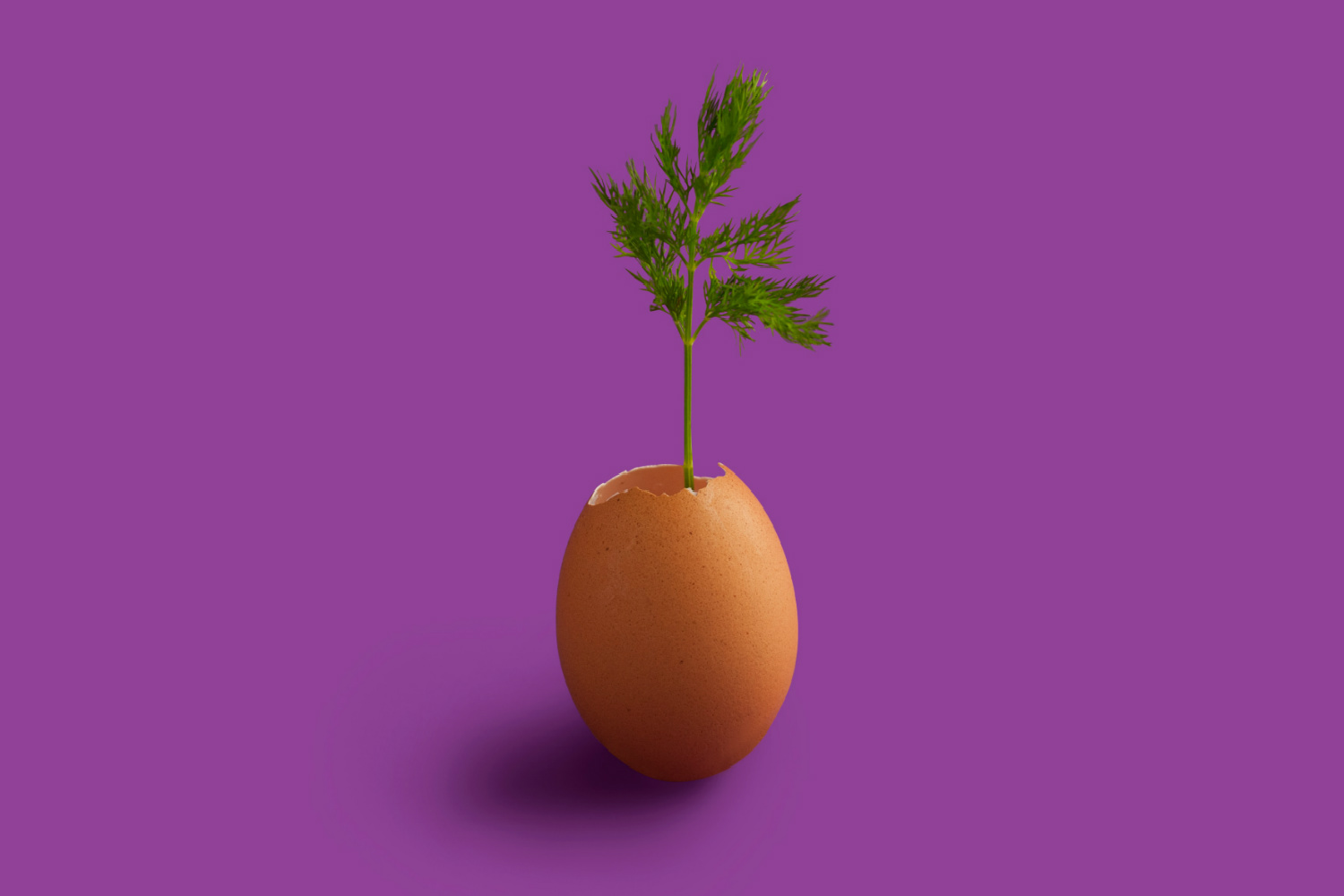 creatività, trovare idee, non serve essere artista